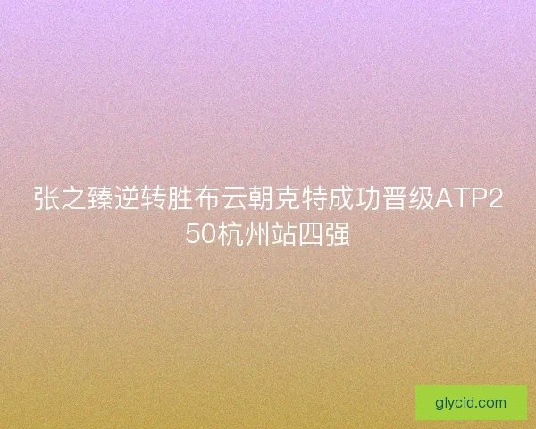张之臻逆转胜布云朝克特成功晋级ATP250杭州站四强